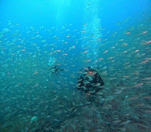 DCIM100GOPROGOPR8507.JPG