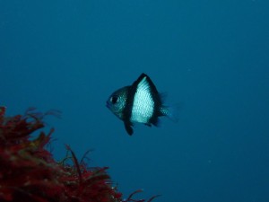 P1120238