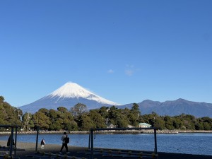 S__372711430_0