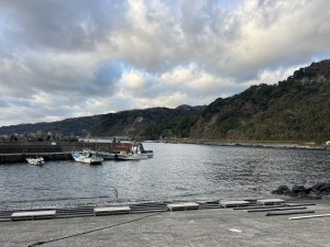 S__373506050
