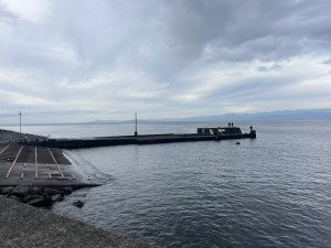 S__373833733_0