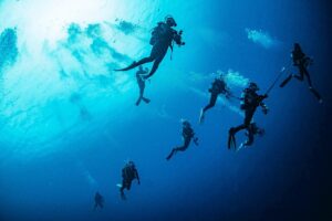 S__75186212