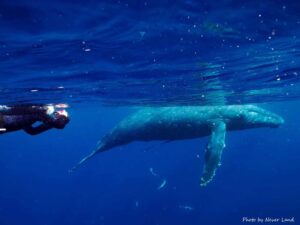 line_oa_chat_260109_214115