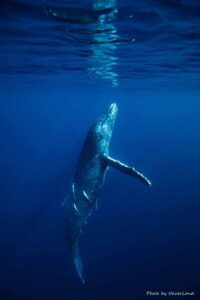 line_oa_chat_260109_214118