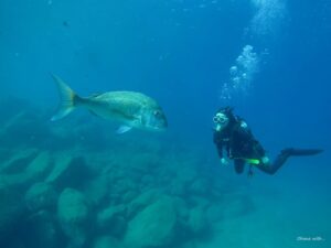 line_oa_chat_260120_185047