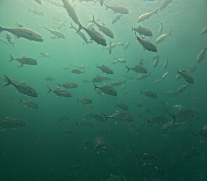 DCIM101GOPROGOPR4440.JPG