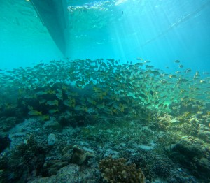 DCIM101GOPROGOPR4490.JPG