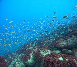 DCIM100GOPROGOPR5632.JPG