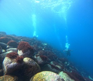 DCIM100GOPROGOPR5635.JPG