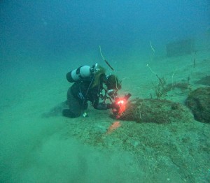 DCIM100GOPROGOPR5642.JPG