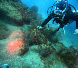 DCIM100GOPROGOPR5664.JPG
