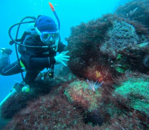 DCIM100GOPROGOPR5672.JPG