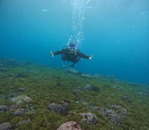 DCIM100GOPROGOPR5675.JPG