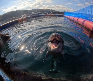 DCIM100GOPROGOPR5695.JPG