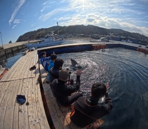 DCIM100GOPROGOPR5714.JPG