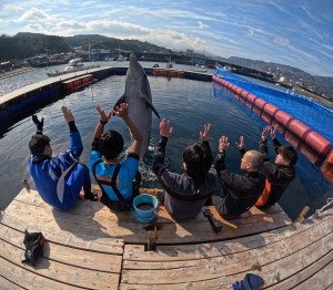 DCIM100GOPROGOPR5729.JPG