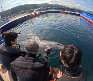 DCIM100GOPROGOPR5733.JPG