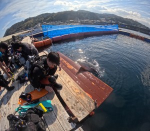 DCIM100GOPROGOPR5740.JPG