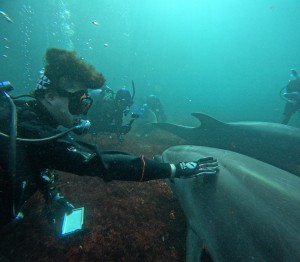 DCIM100GOPROGOPR5769.JPG