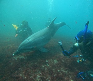 DCIM100GOPROGOPR5801.JPG