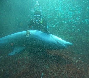 DCIM100GOPROGOPR5836.JPG