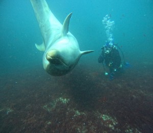 DCIM100GOPROGOPR5851.JPG