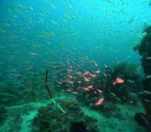 DCIM100GOPROGOPR5883.JPG