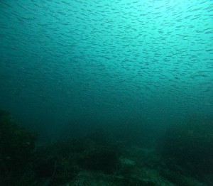DCIM100GOPROGOPR5886.JPG