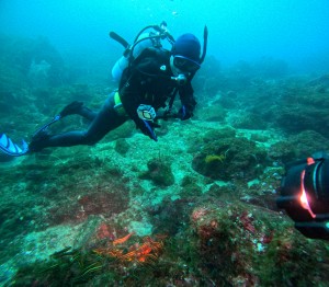 DCIM100GOPROGOPR5889.JPG
