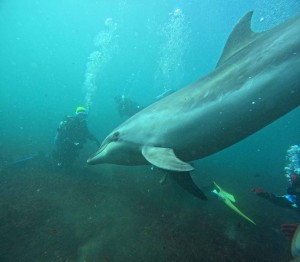 DCIM100GOPROGOPR6052.JPG
