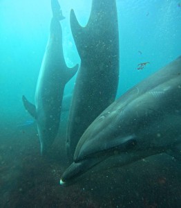 DCIM100GOPROGOPR6055.JPG