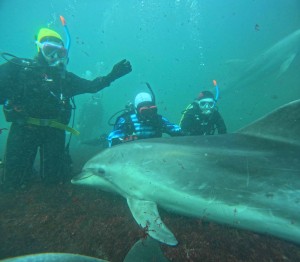 DCIM100GOPROGOPR6077.JPG