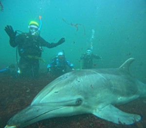 DCIM100GOPROGOPR6083.JPG