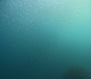 DCIM100GOPROGOPR6098.JPG