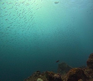 DCIM100GOPROGOPR6100.JPG