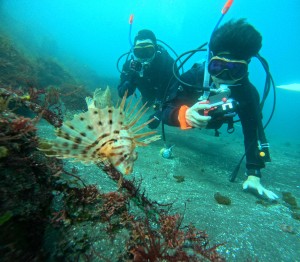 DCIM100GOPROGOPR6132.JPG