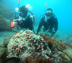 DCIM100GOPROGOPR6142.JPG
