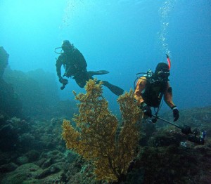 DCIM100GOPROGOPR7230.JPG