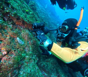 DCIM100GOPROGOPR7232.JPG