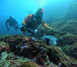 DCIM100GOPROGOPR7235.JPG