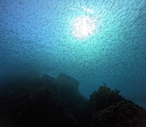 DCIM100GOPROGOPR7241.JPG