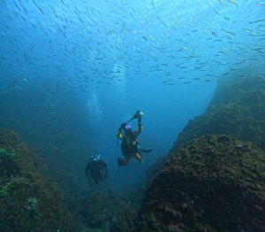 DCIM100GOPROGOPR7244.JPG