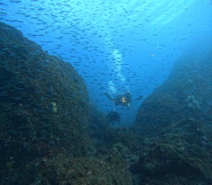 DCIM100GOPROGOPR7246.JPG