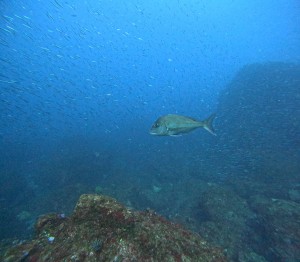 DCIM100GOPROGOPR7249.JPG