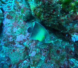 DCIM100GOPROGOPR7254.JPG