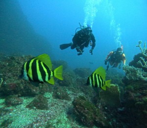 DCIM100GOPROGOPR7260.JPG