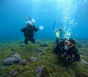 DCIM100GOPROGOPR7336.JPG