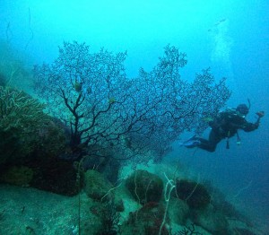 DCIM100GOPROGOPR7343.JPG