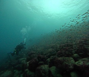 DCIM100GOPROGOPR7349.JPG