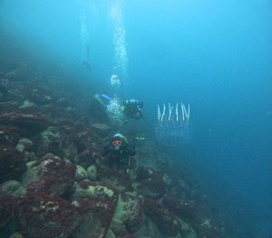 DCIM100GOPROGOPR7352.JPG